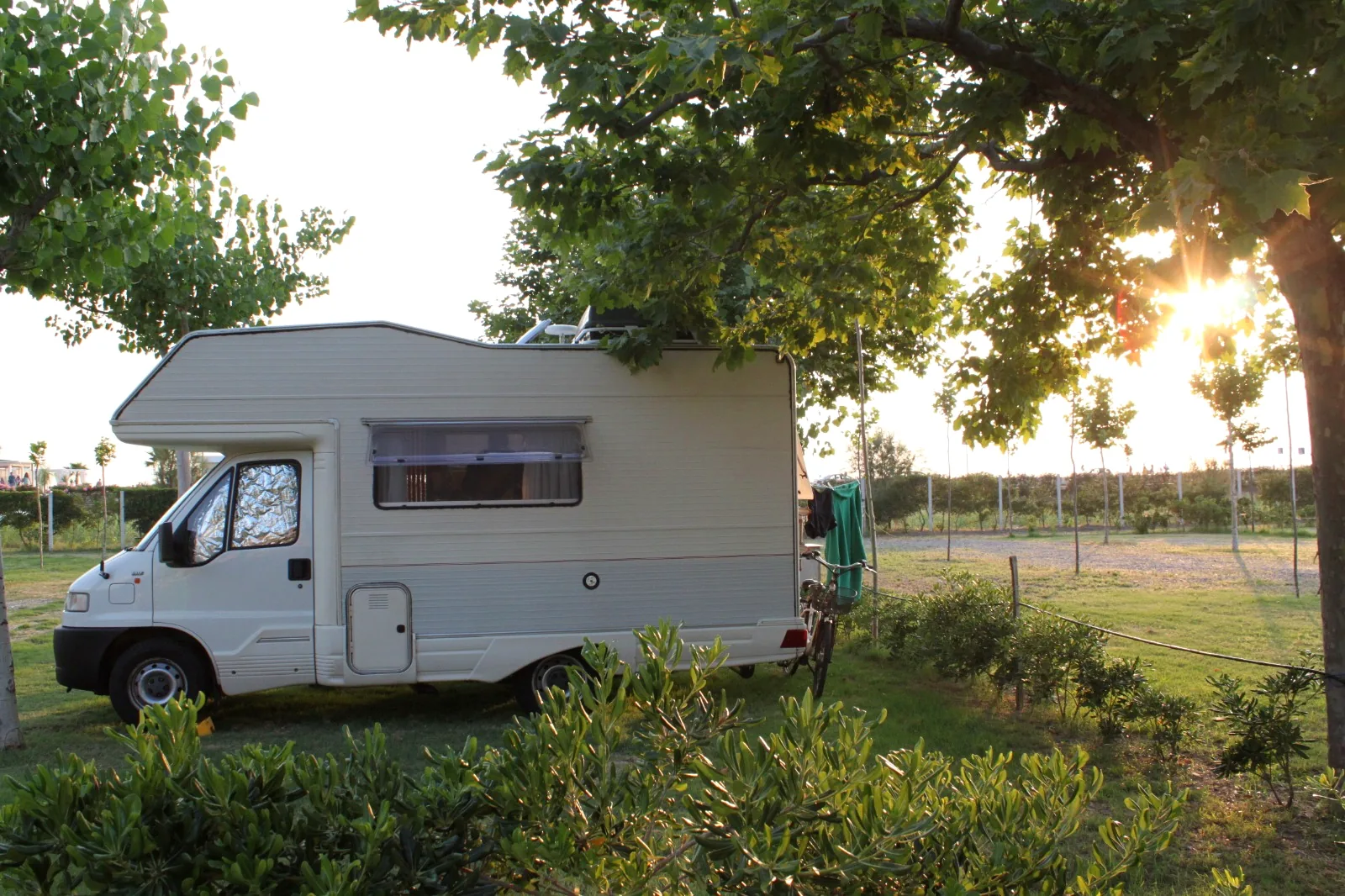 Camper in una piazzola alberata
